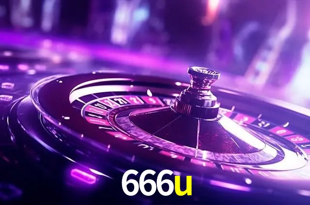 Interface Premium 666u